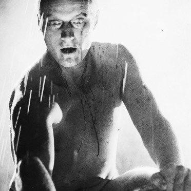 /assets/articles/2014/replicants-cyborgs-and-digital-spirits/l2_v354584_1200_372_372-4.jpg