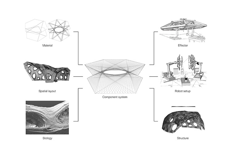 /assets/articles/2014/weave-replaces-brickwork/l2_v354414_958_744_496-6.jpg