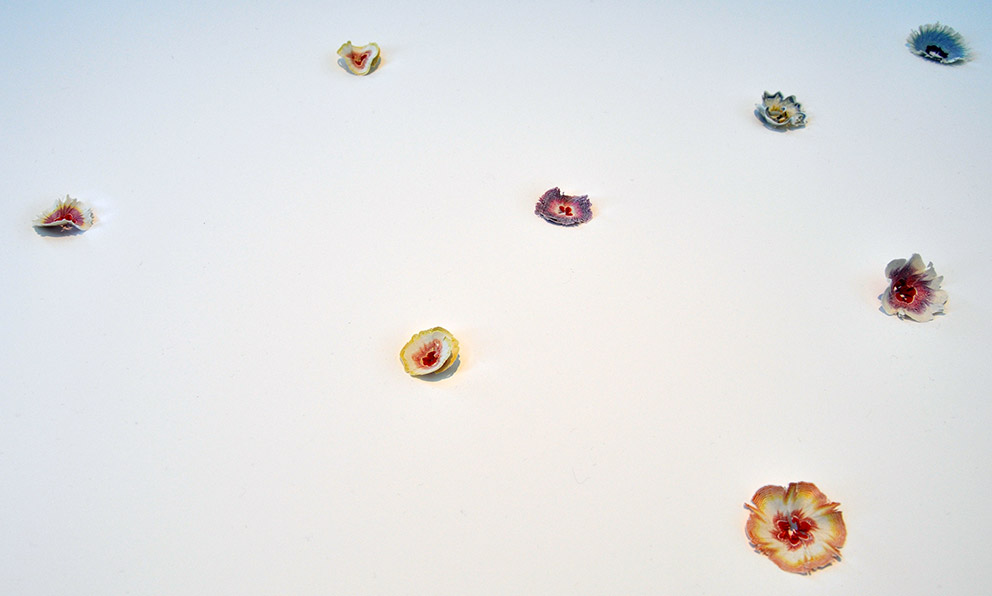 L2 V366692 958 992 596 11