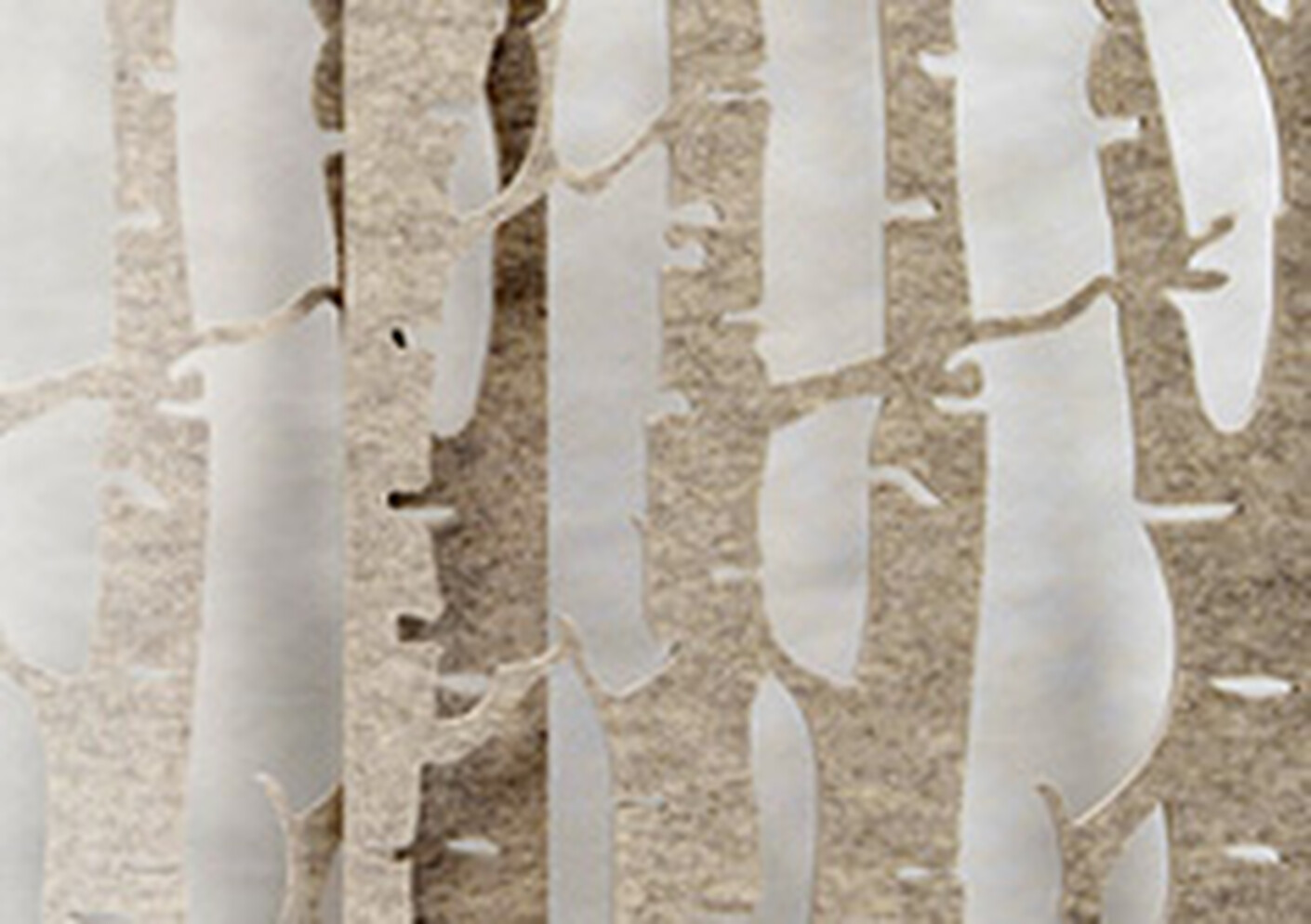 A birch forest for more quiet