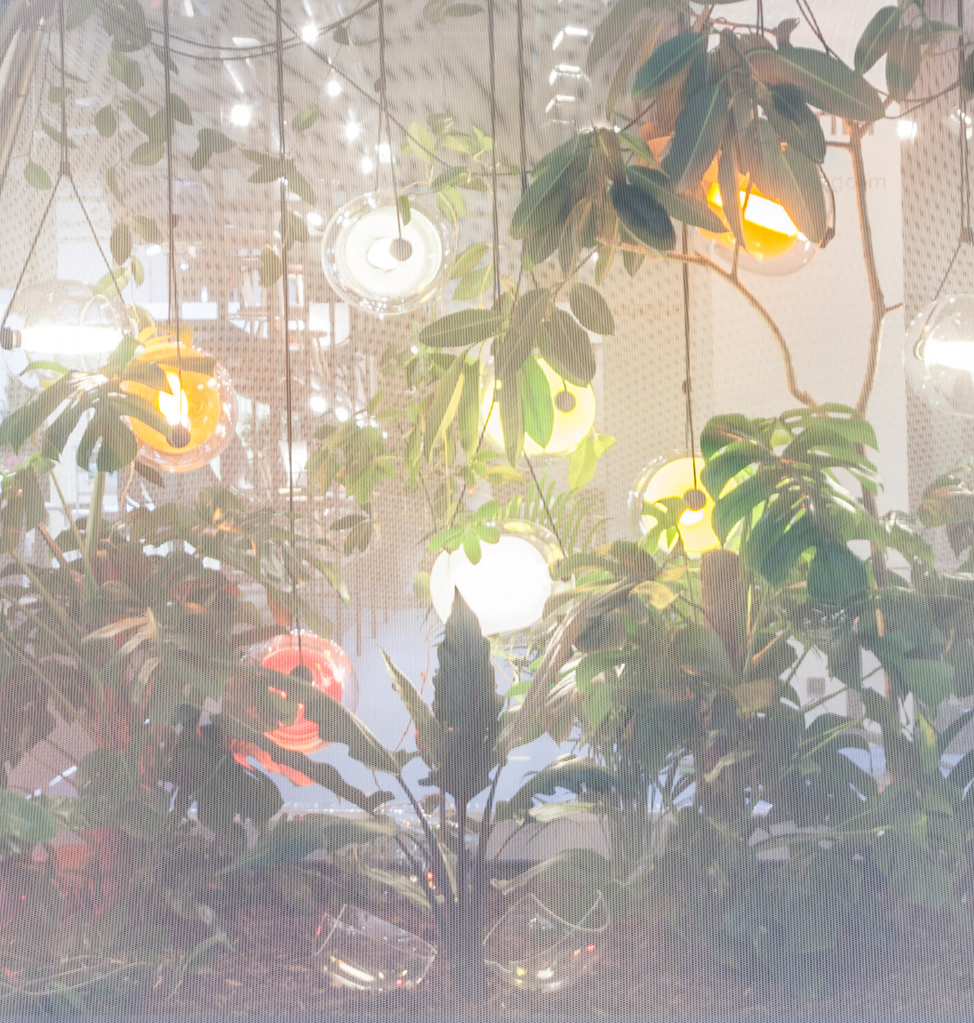 Das Paradies, die Schlangen und das Licht