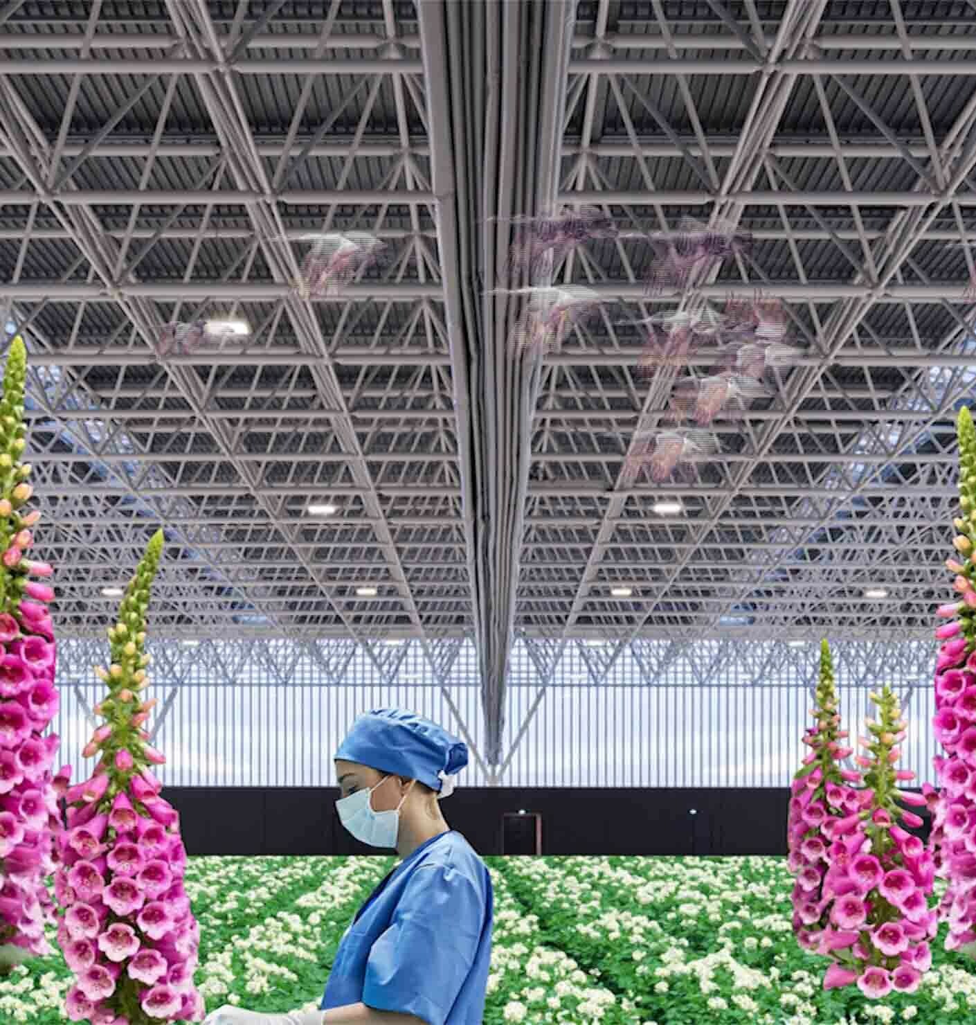 Heilende Architektur