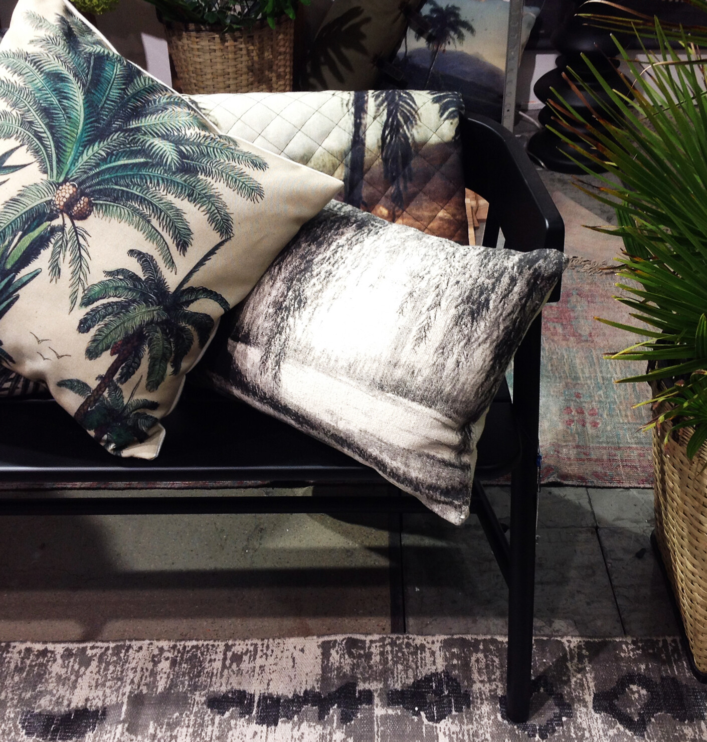 A hothouse of homeliness 