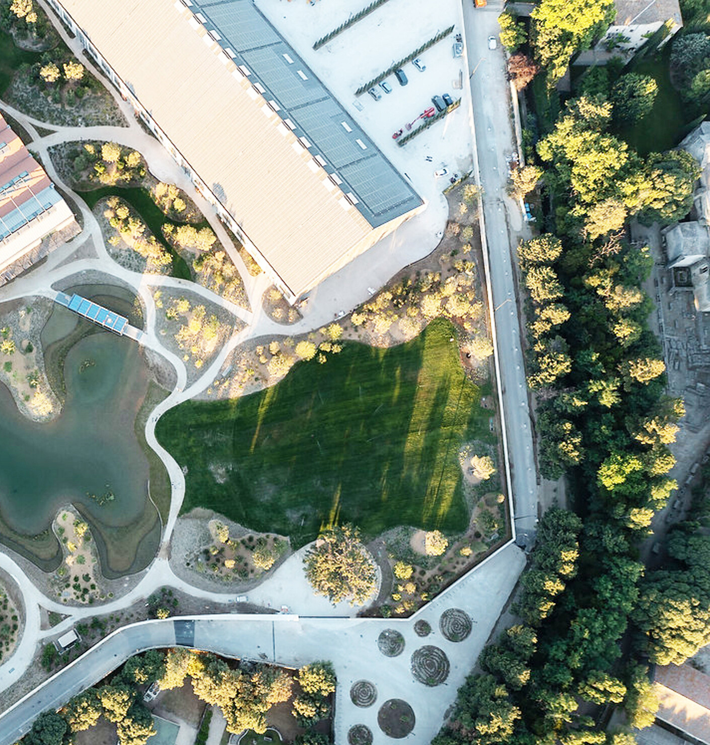 Ein lebender Organismus