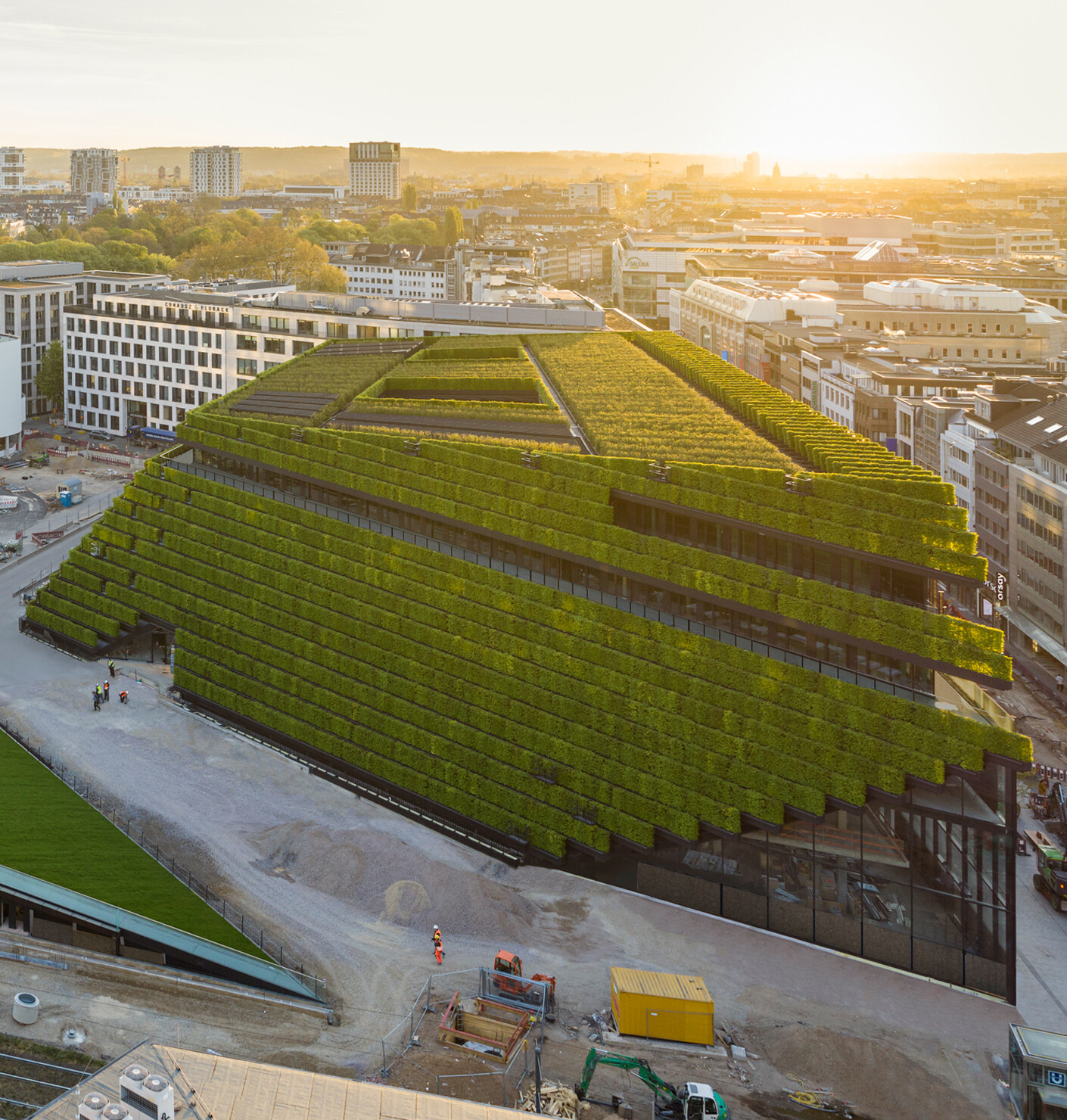 Green is a colorful hue