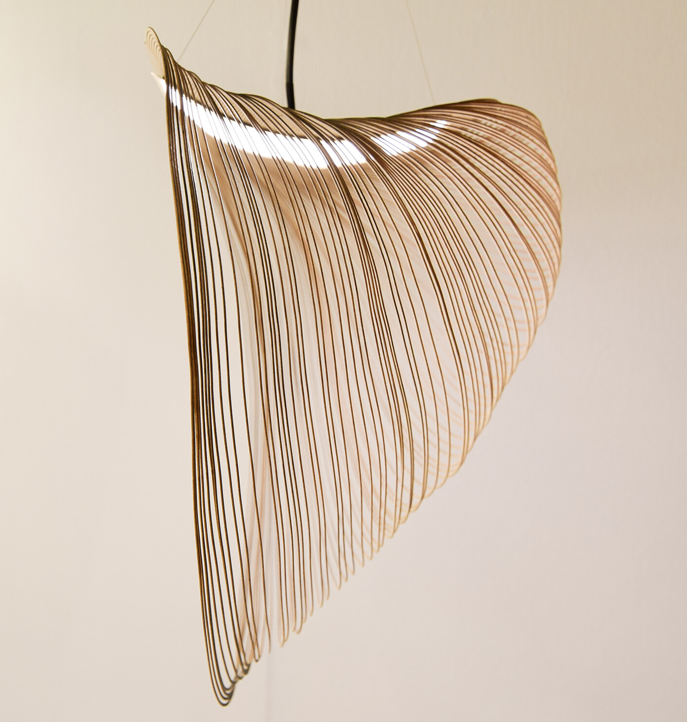 Musterschüler und Experimentierklassen