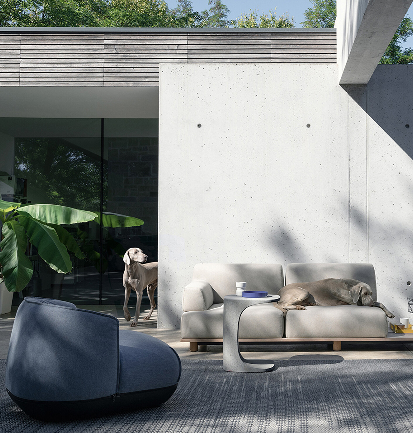 Kristalia 2021: PALCO