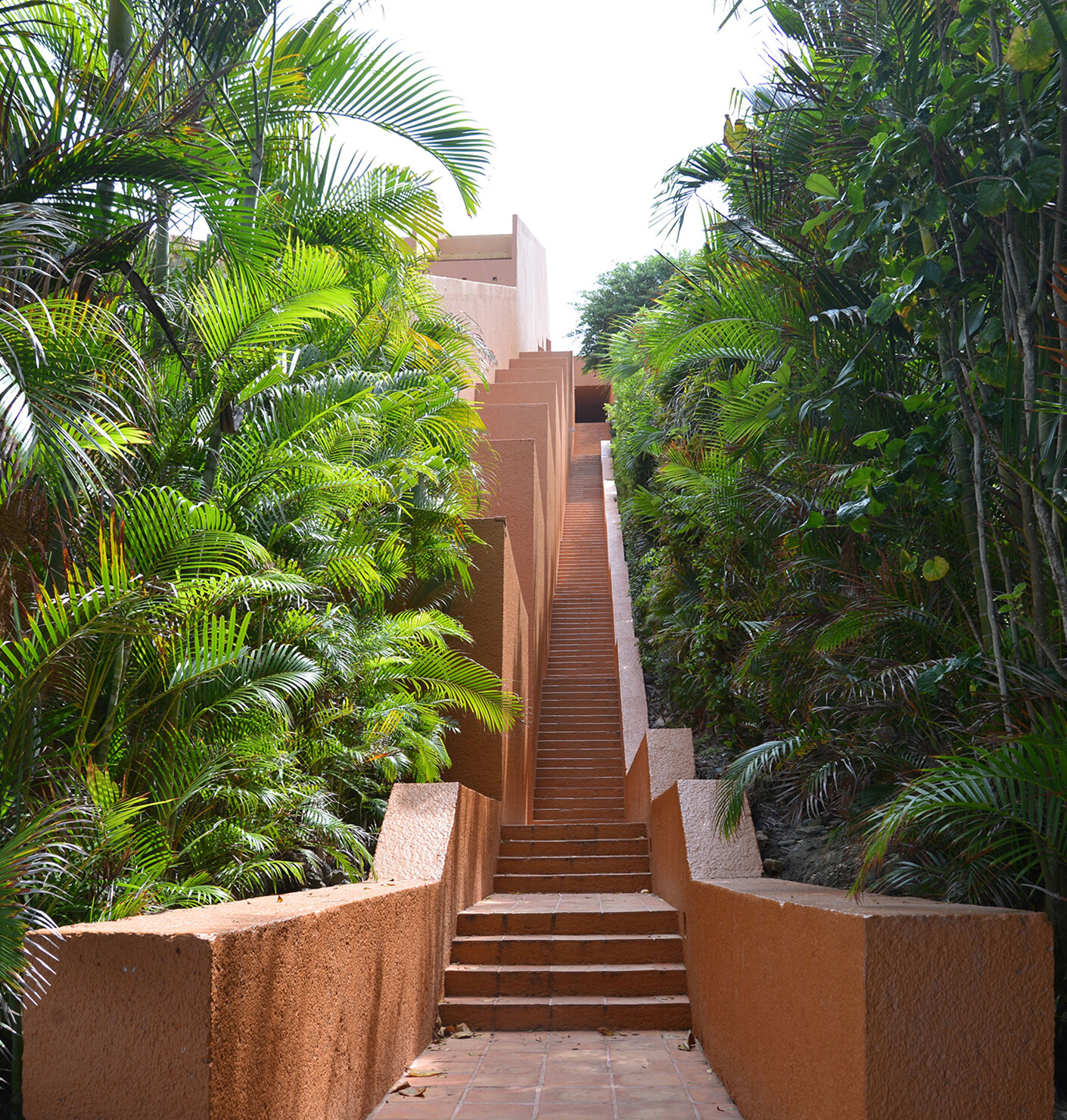 Constructed landscape