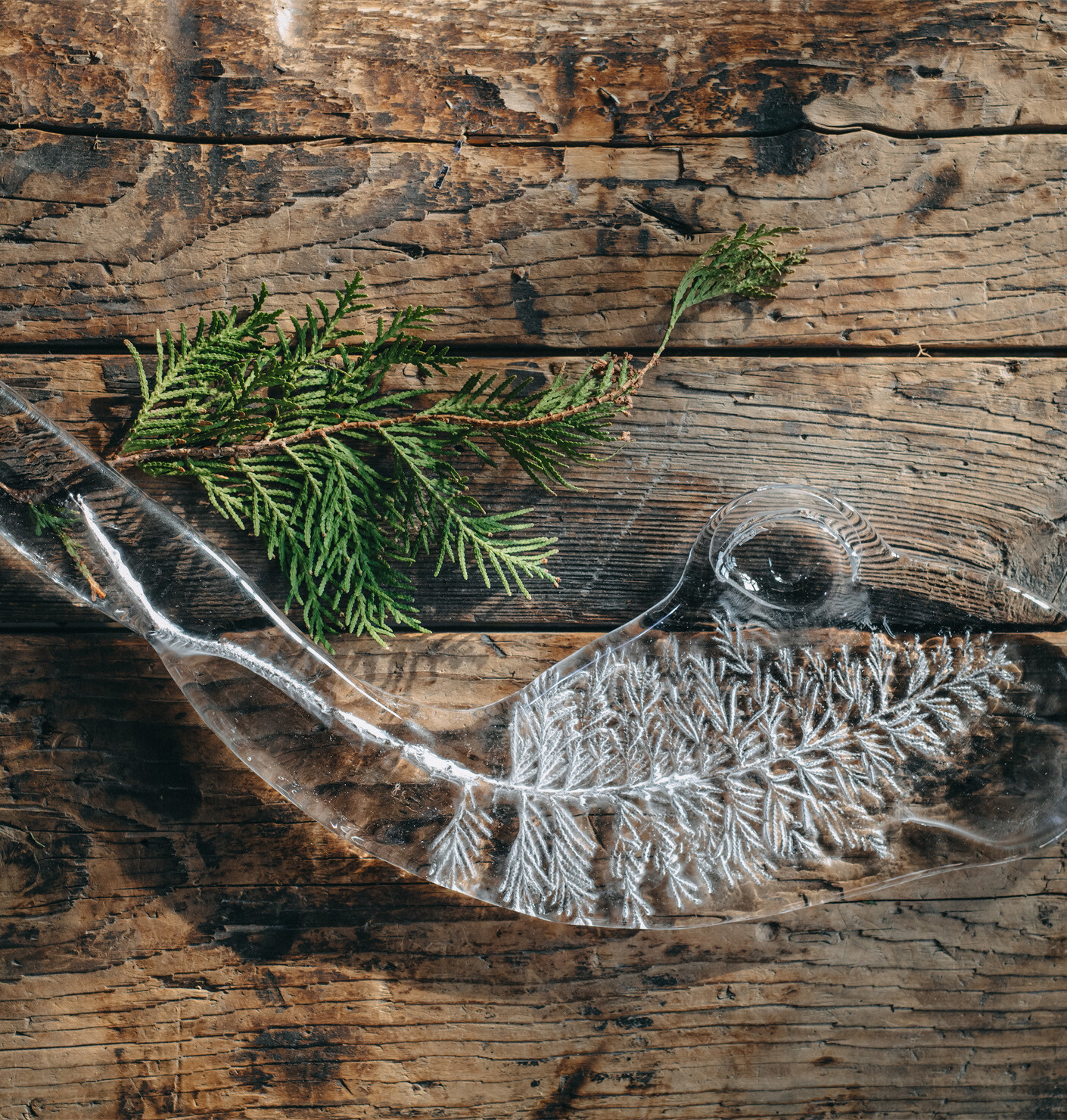 Journey to the glass