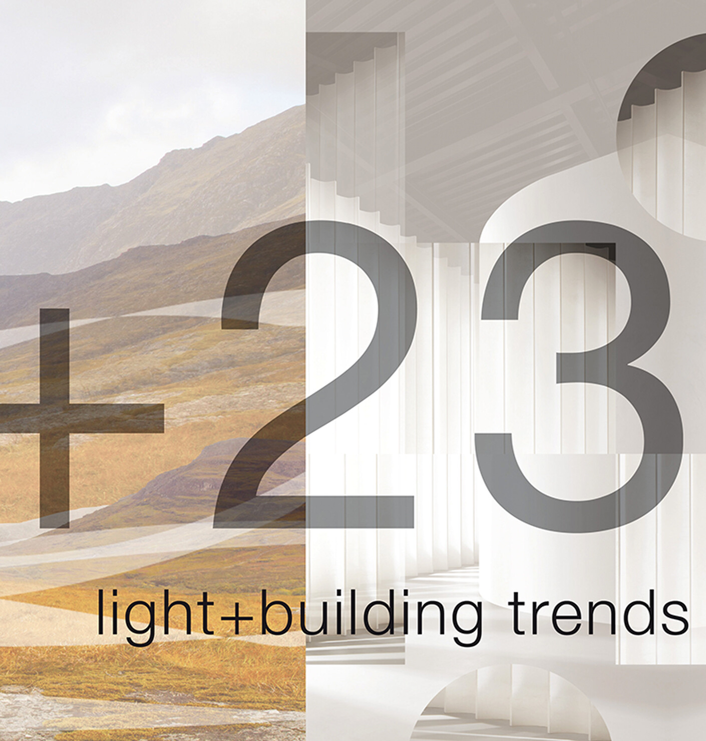 A holistic approach to light