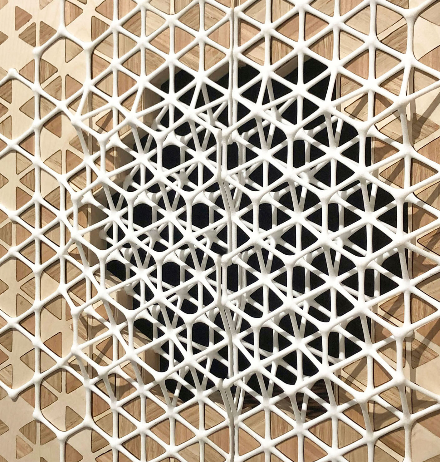 Symbiotic Ornaments