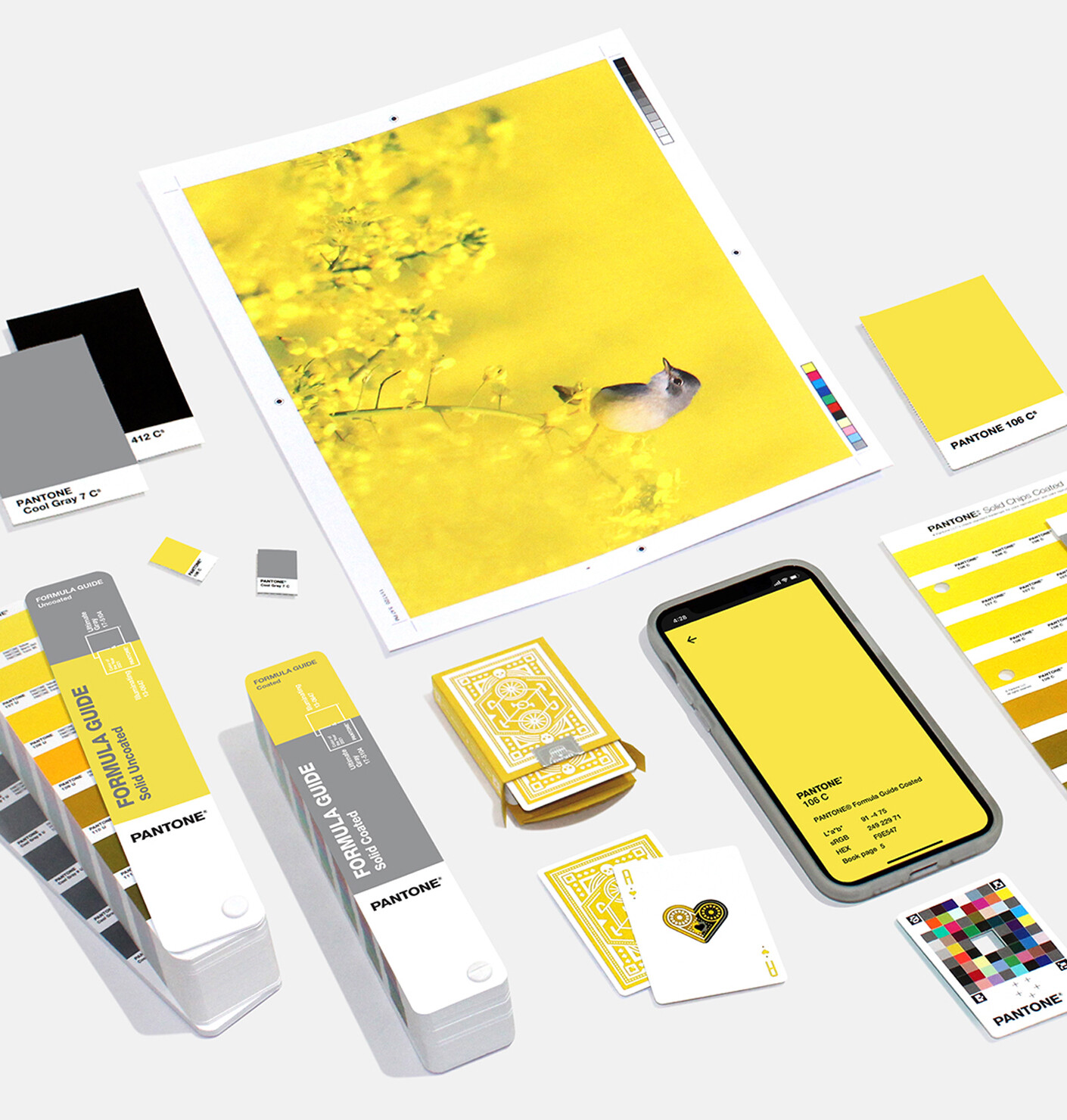 Communication with colour