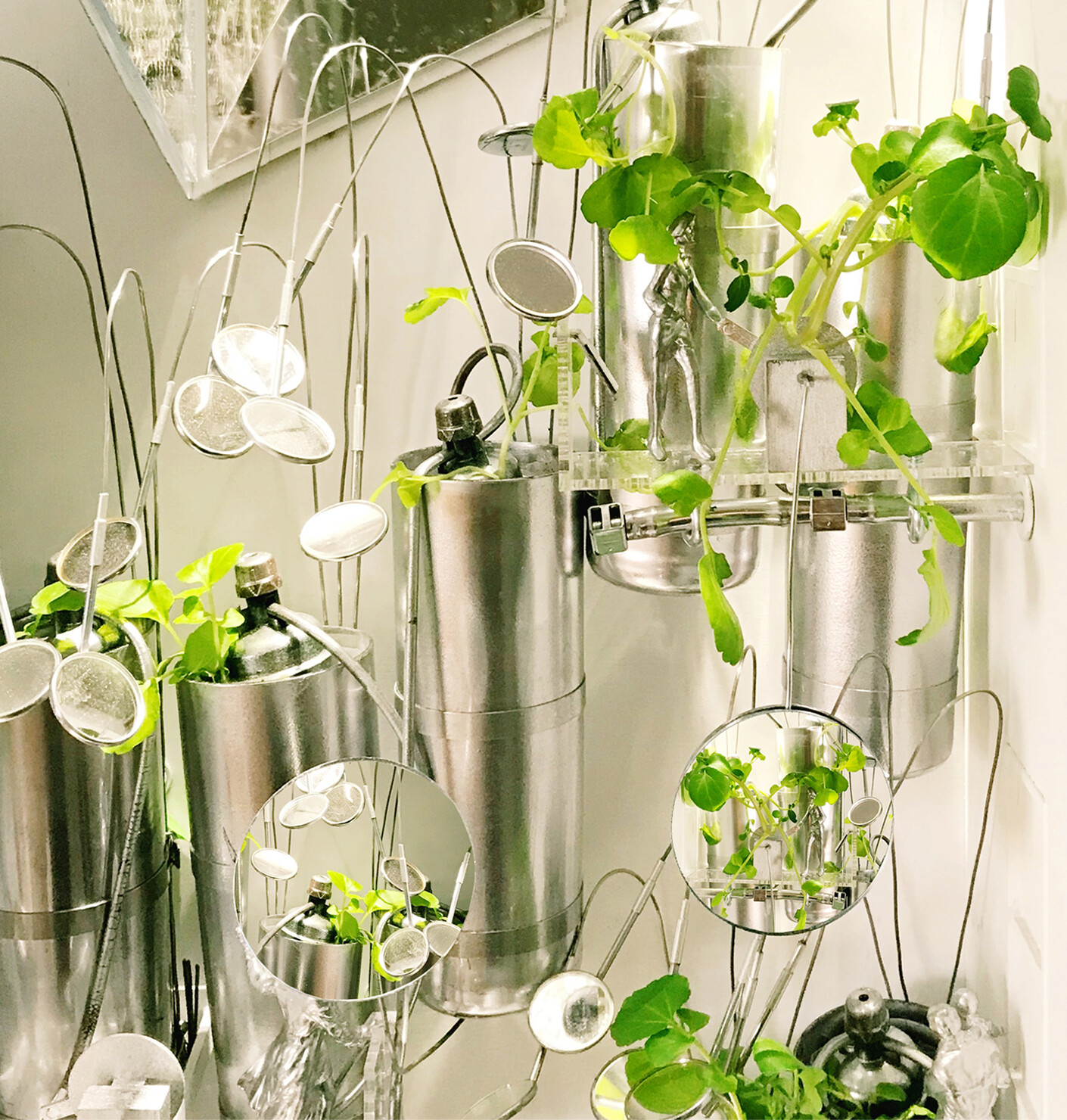 Mehr als nur ein Leuchten