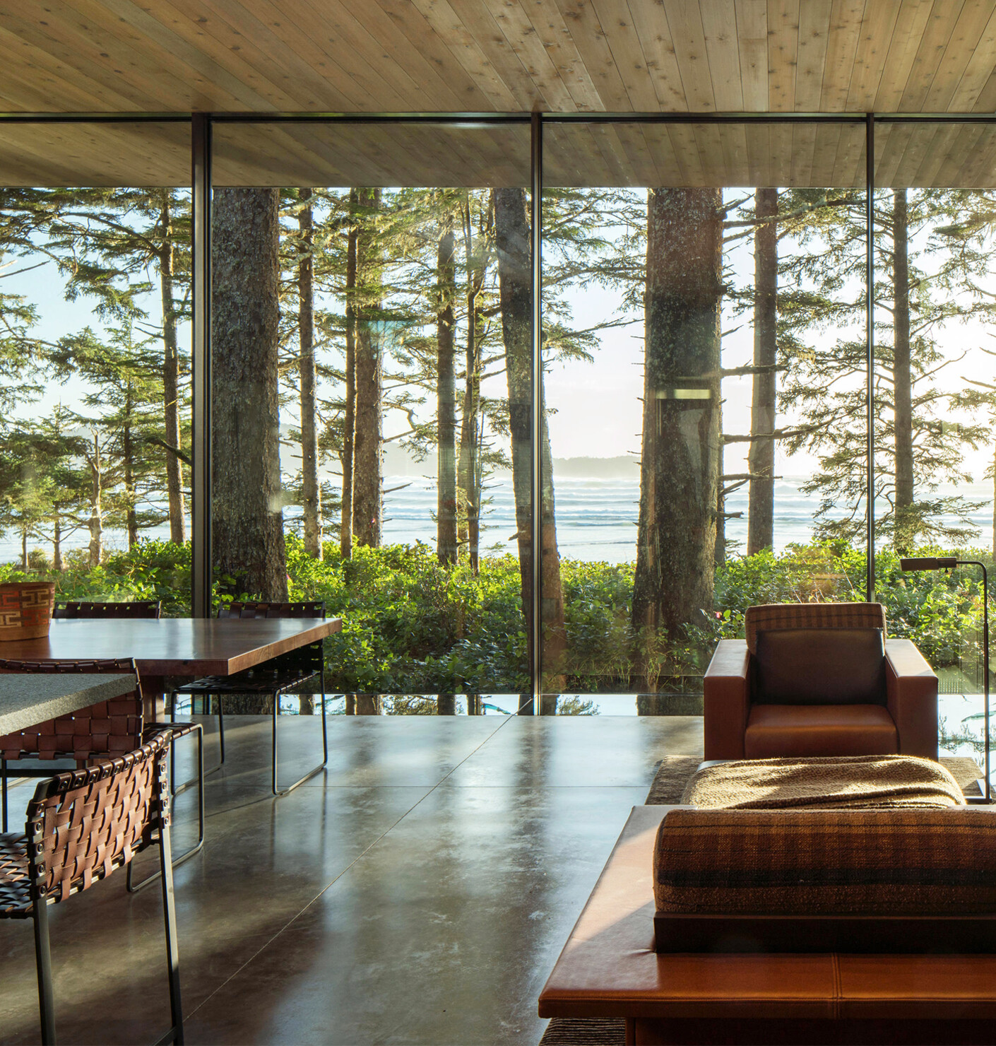 At One with the Forest