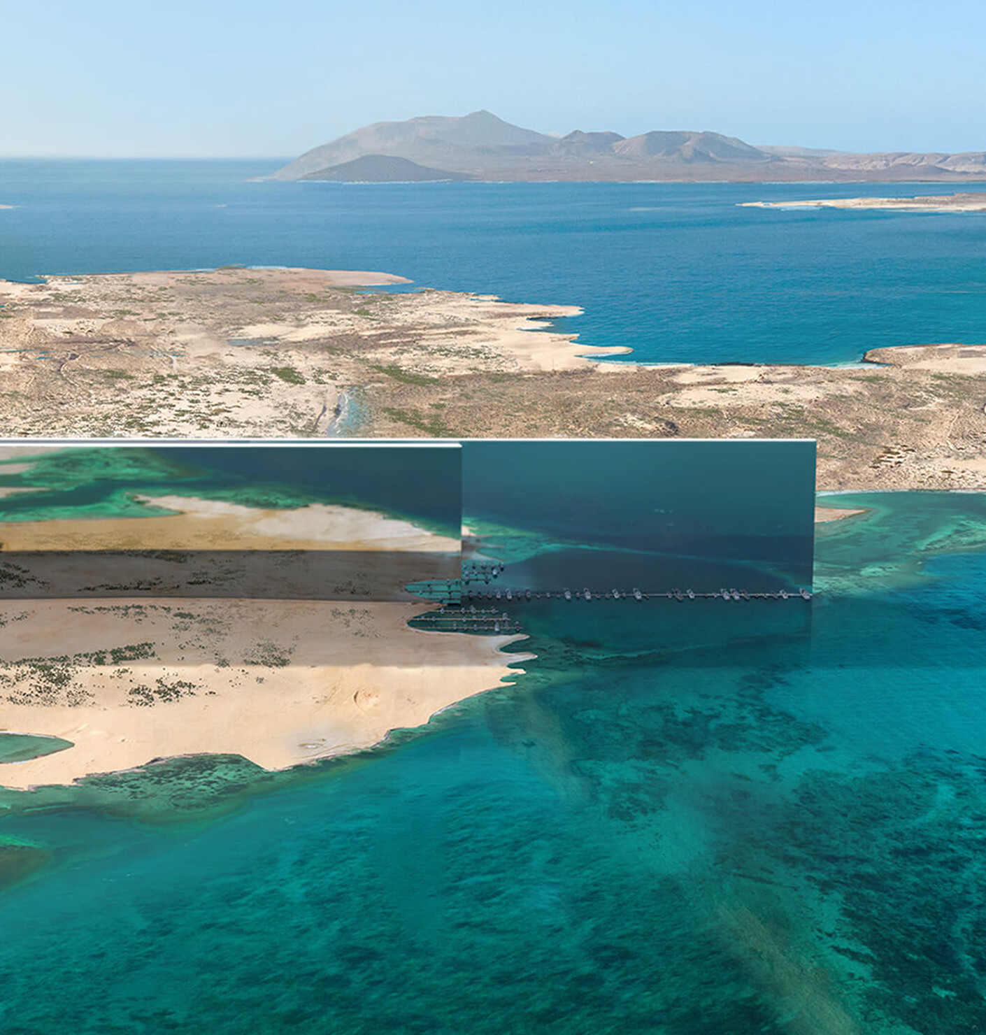 Das längste Feigenblatt der Welt