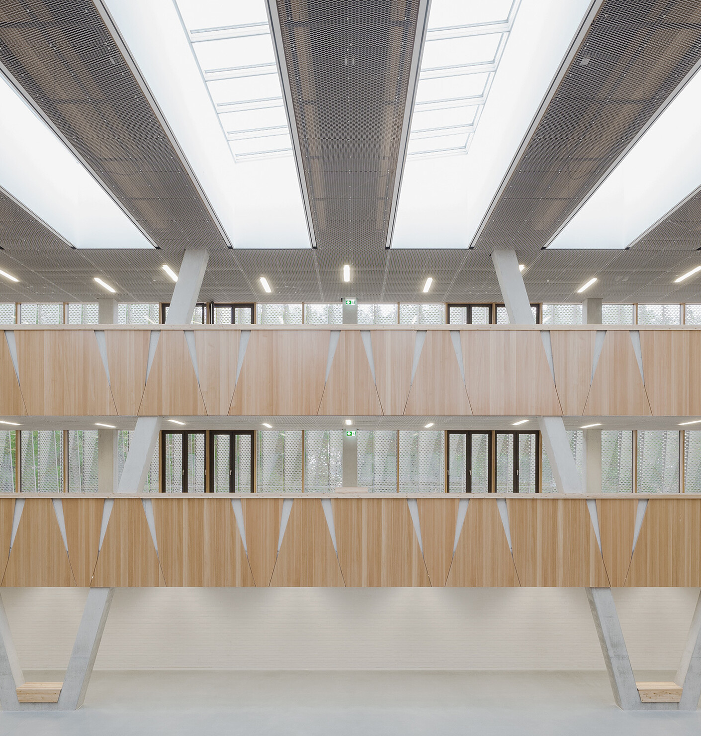 Waldlicht in der Pausenhalle