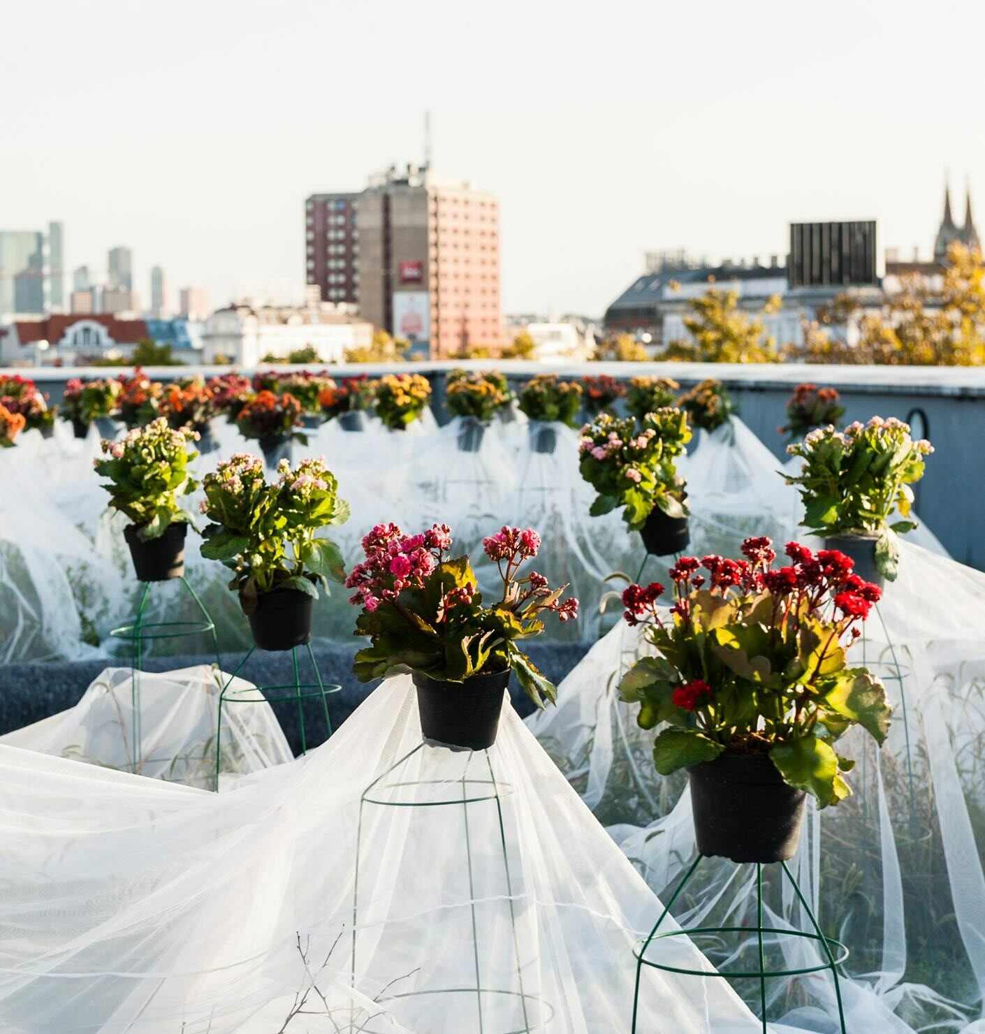 Viennese workshops