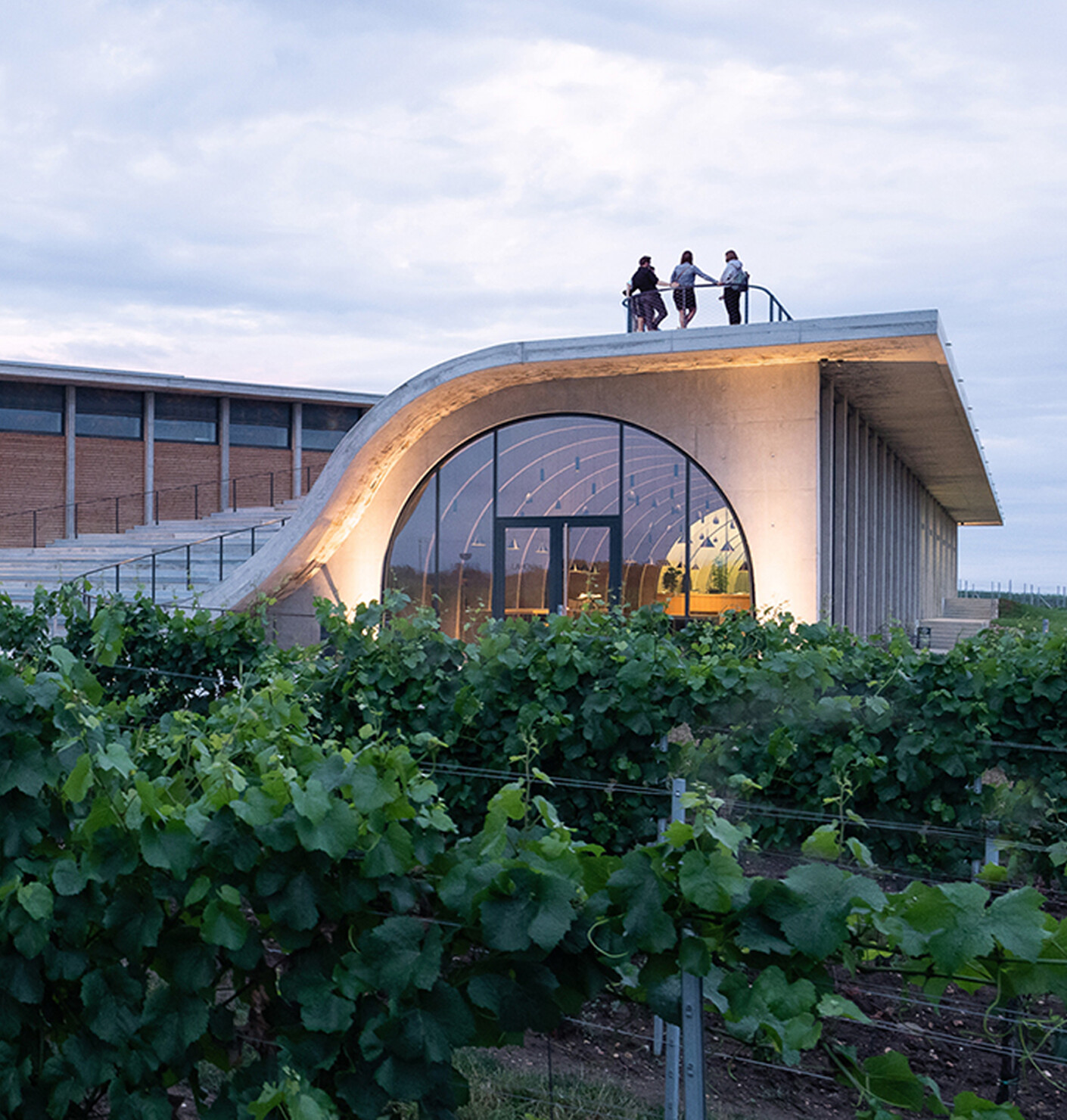 Architecture and wine