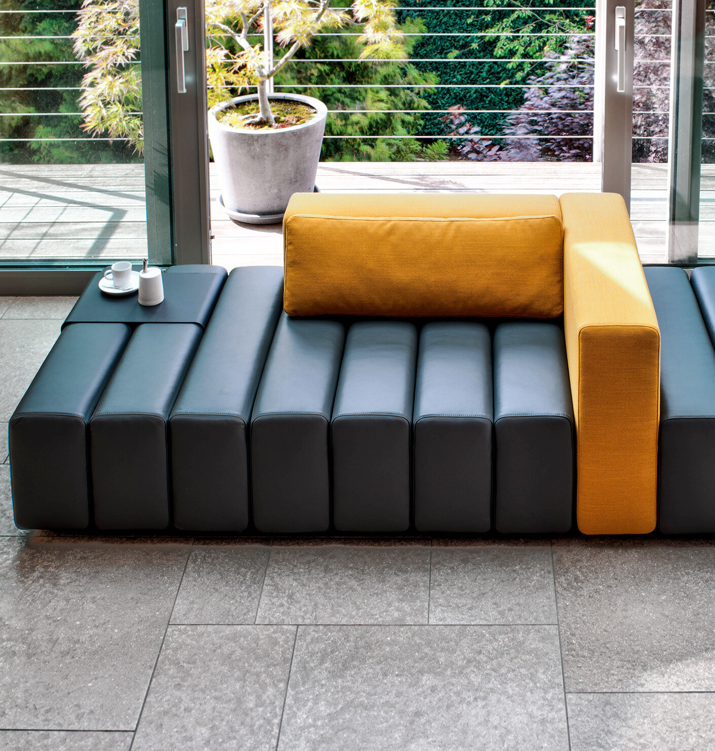 Master of metamorphosis