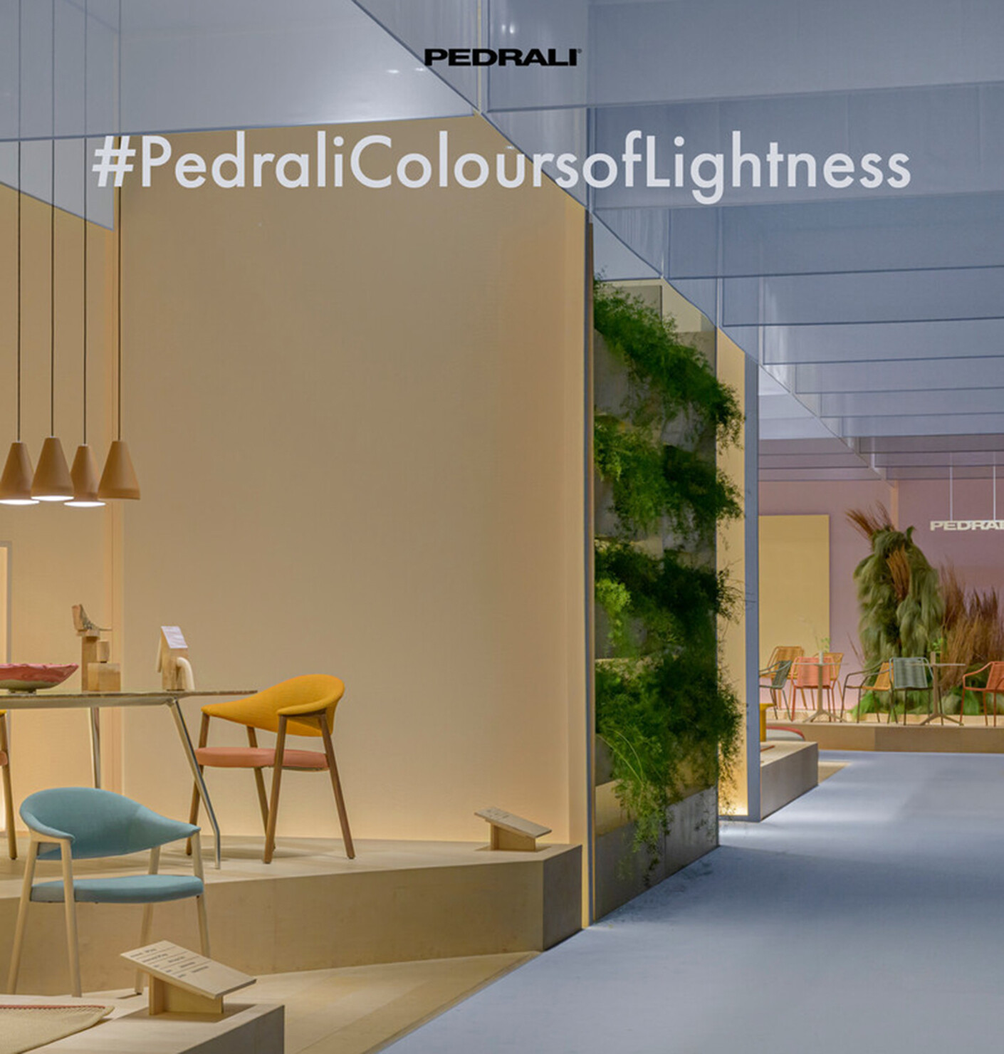 #PedraliColoursofLightness