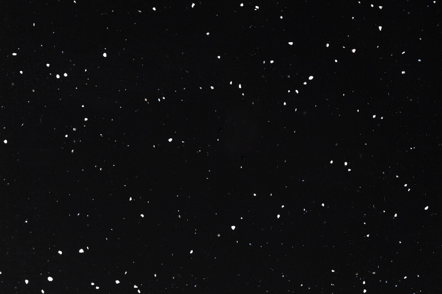 0903. Night Nature