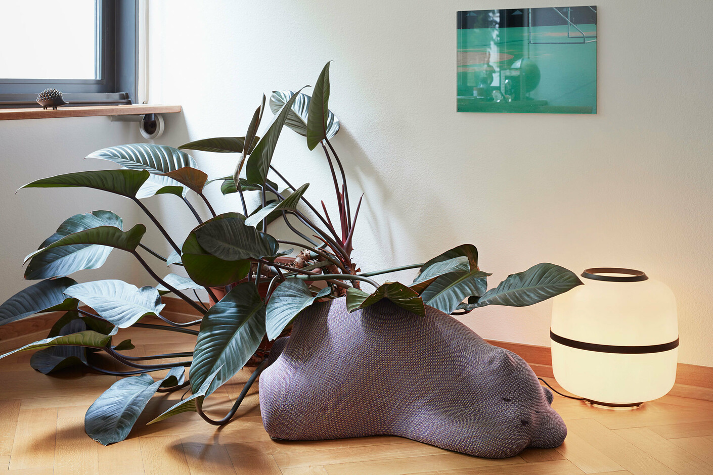 2342499 Resting Bear Resting Animals Accessories In Situ Shooting 2018 Master