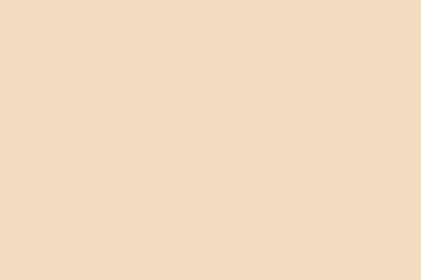 6506. Greggio