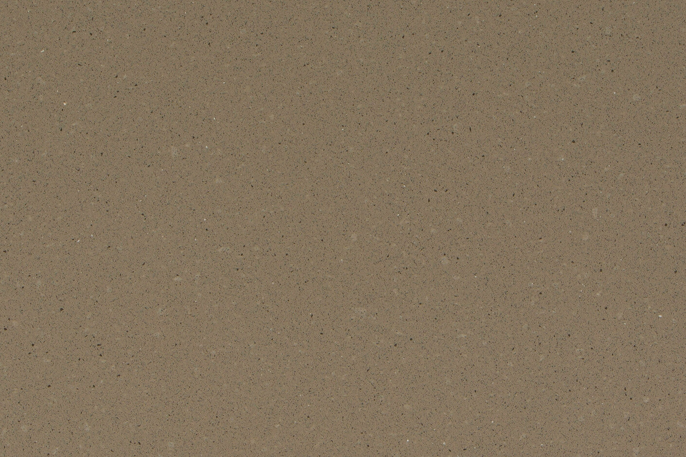 A501. Asteroid Mocha
