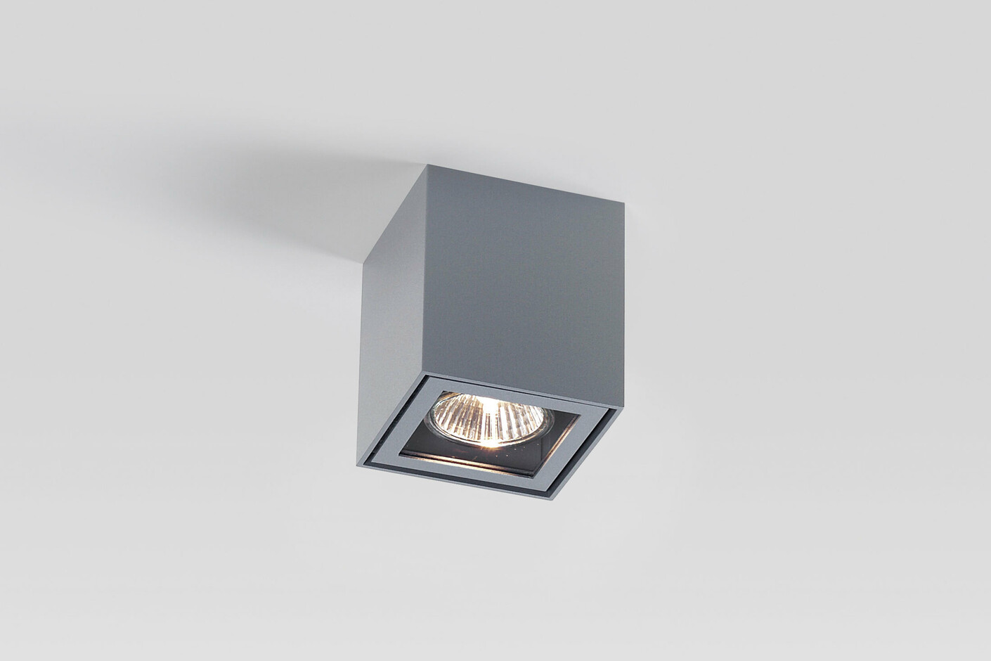Boxy+