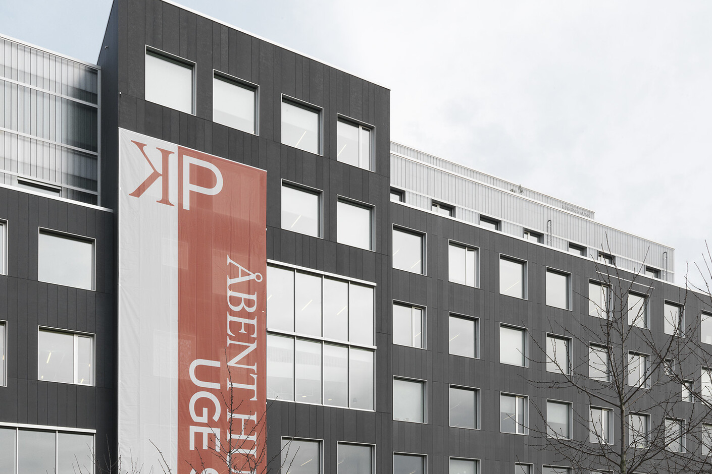 concrete skin, Campus Carlsberg