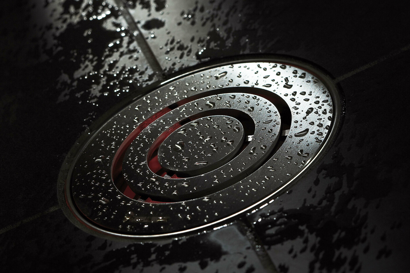 Design Rost 01