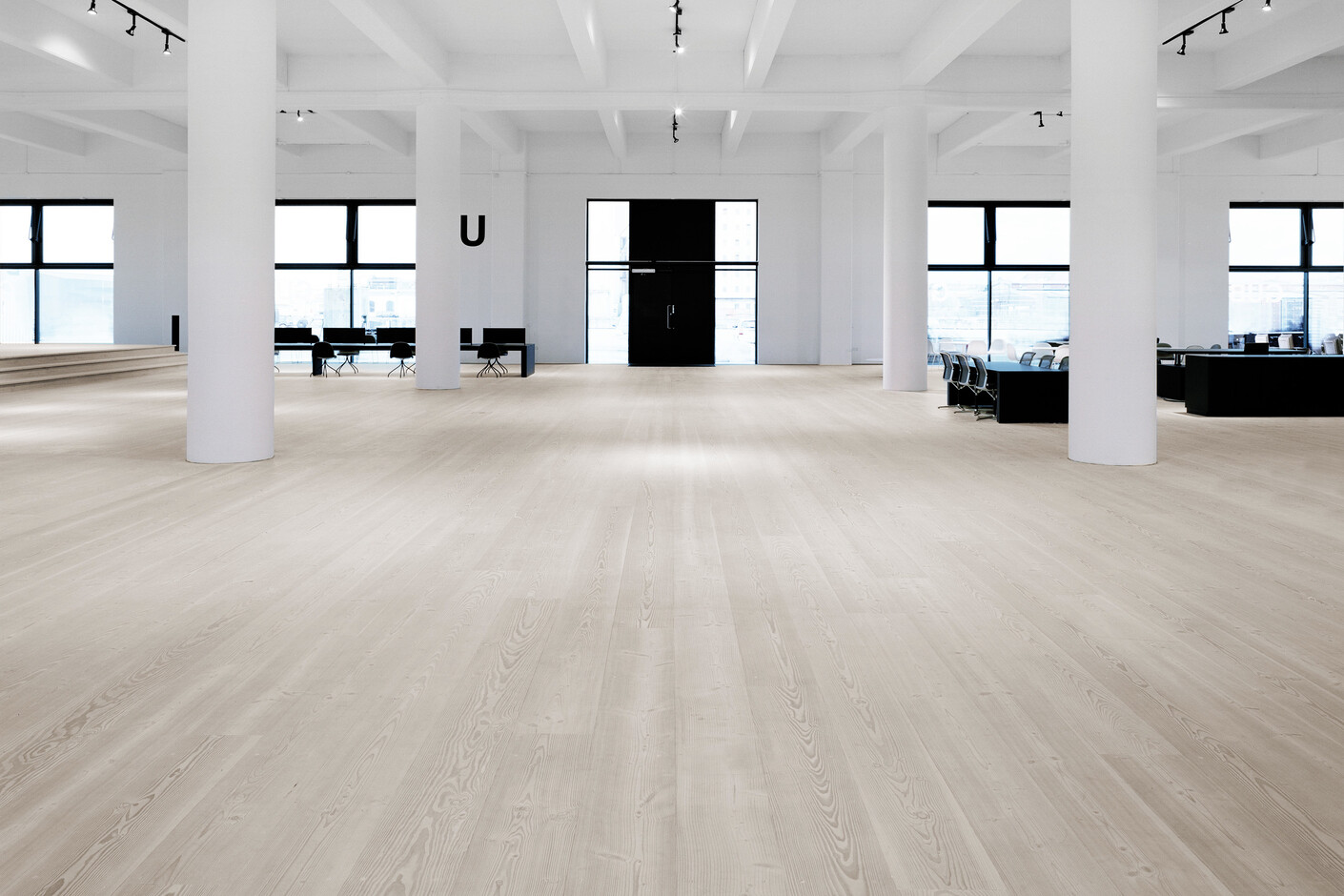 Douglasie - Fallende Längen