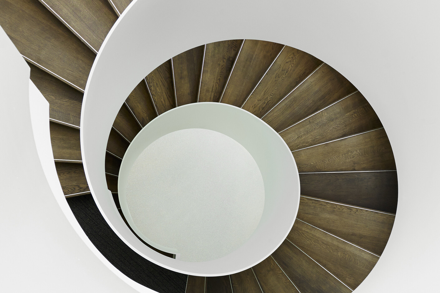 Trittsicher im Schneckenhaus 