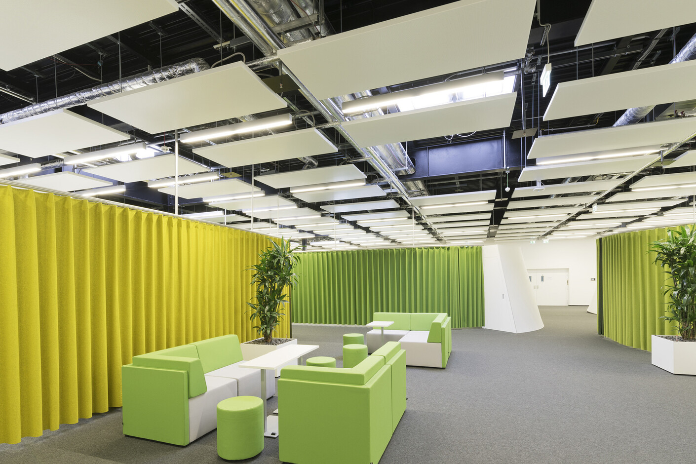Canopy Ceiling 1