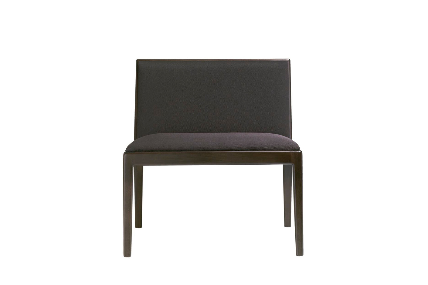 Carlotta lounge chair