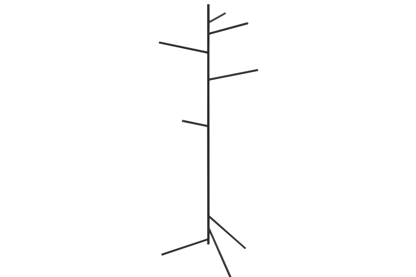 Fir