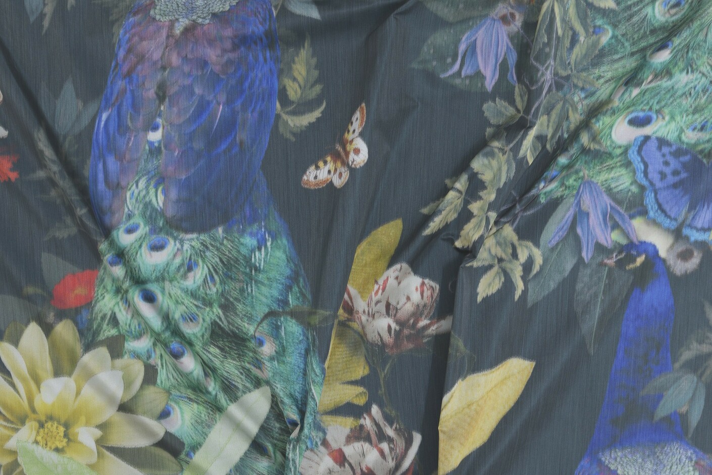 Peacock Society