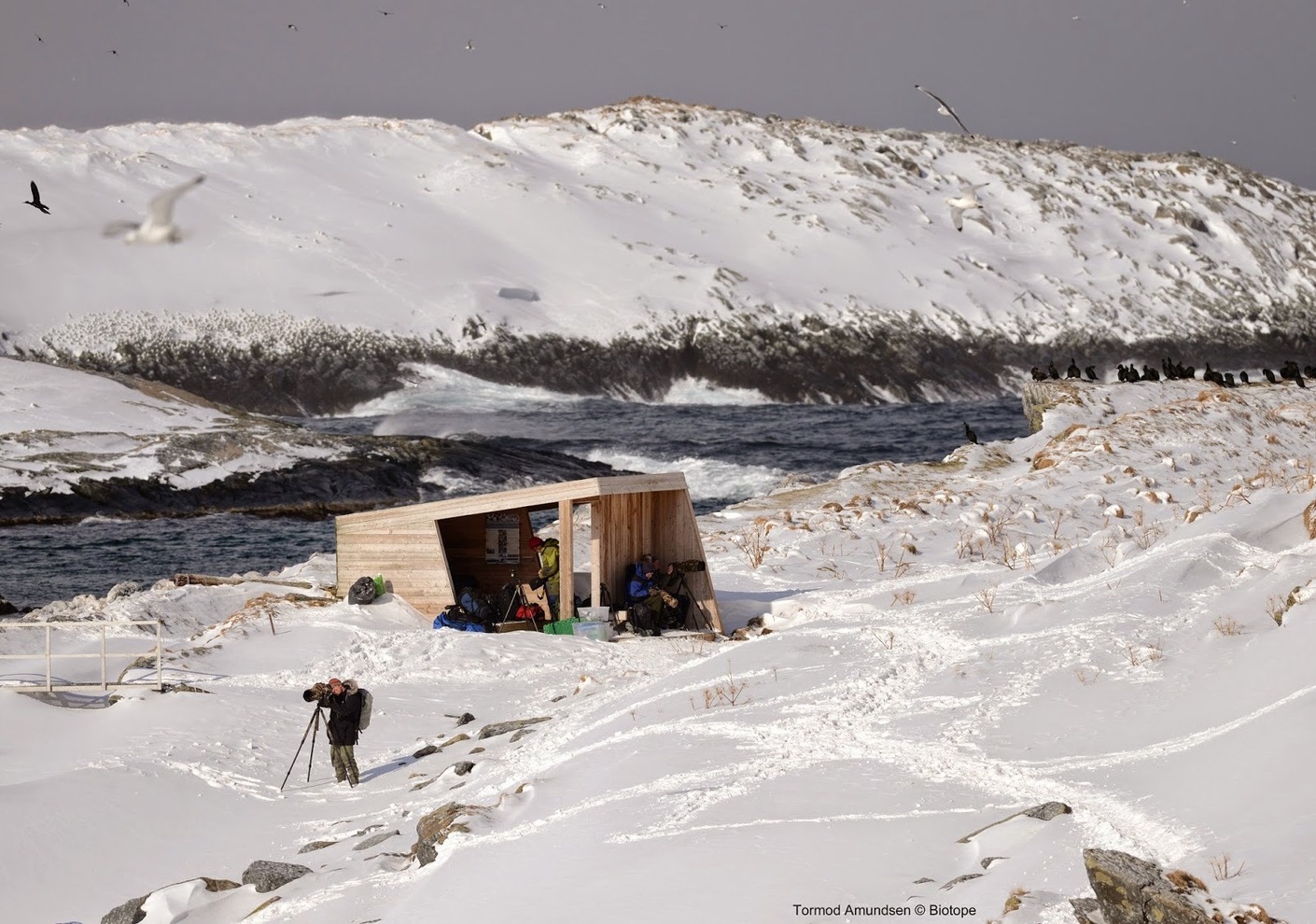 Minimale Schutzhütte zur Tierbeobachtung in Norwegen, Biotope Architekten