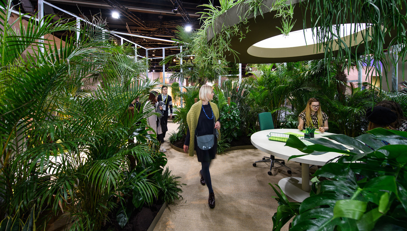 Green lead: Productivity in offices with plants is up to 15 percent higher than in those without.