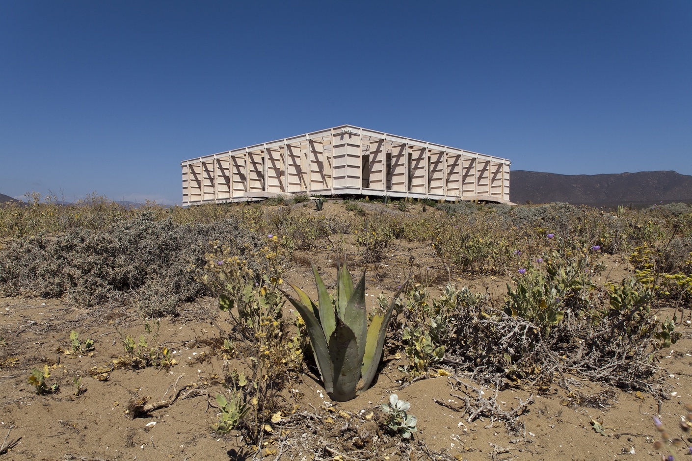 Bildergalerie: Ein Haus mit 72 Türen