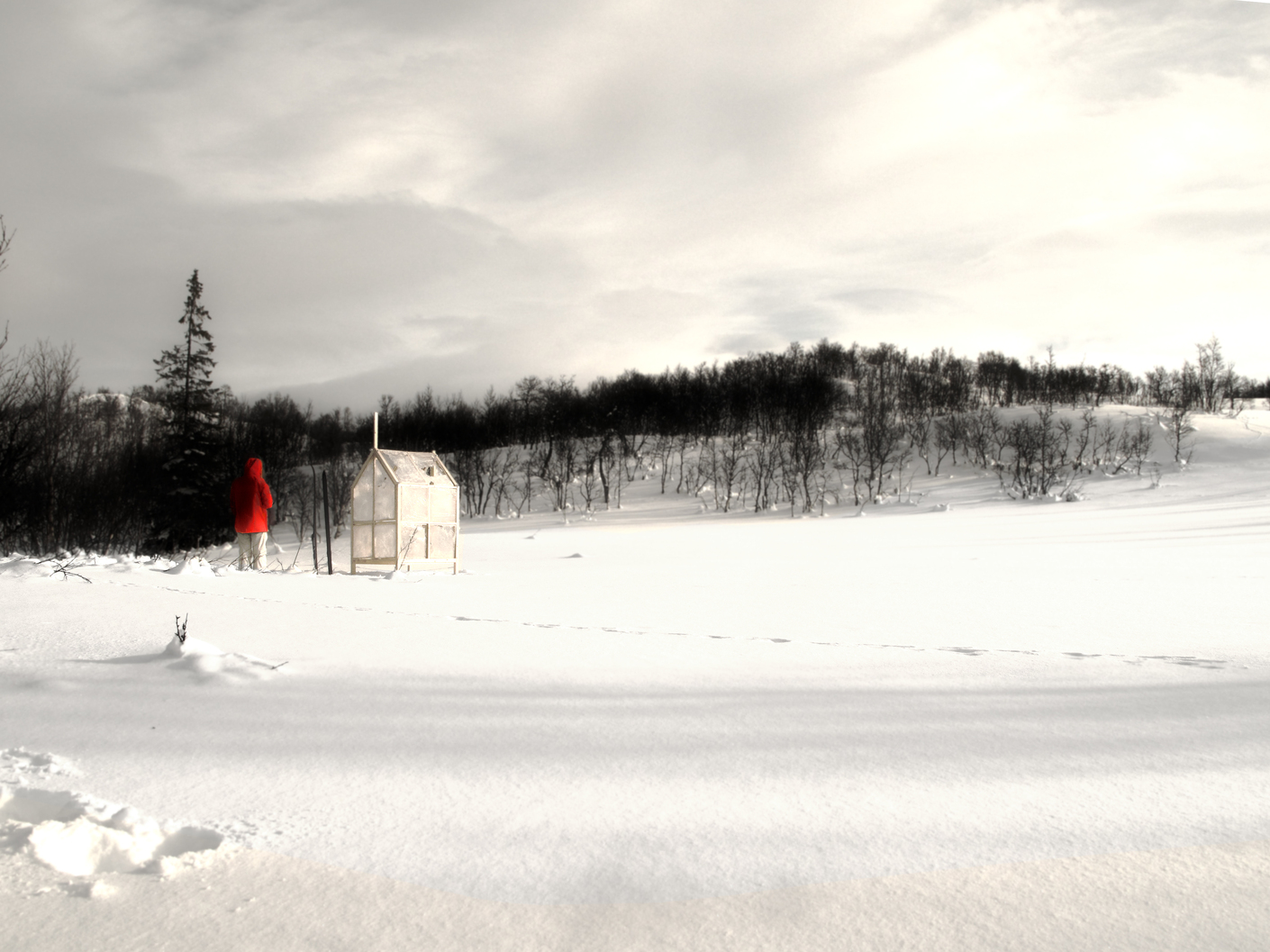 Shelter by Gartnerfuglen arkitekter