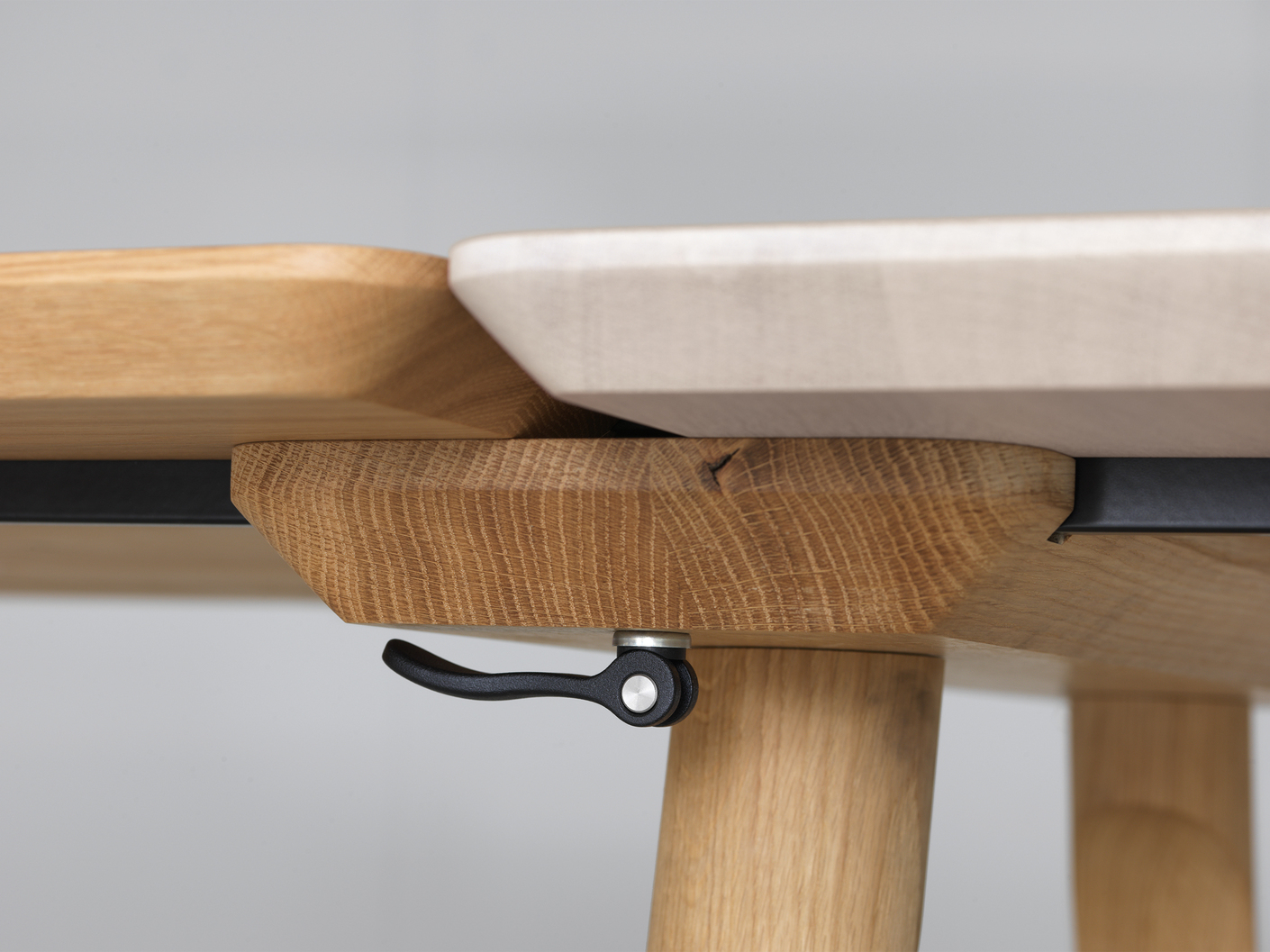 Zeitraum_RAIL_Detail: Spannhebel.jpg
