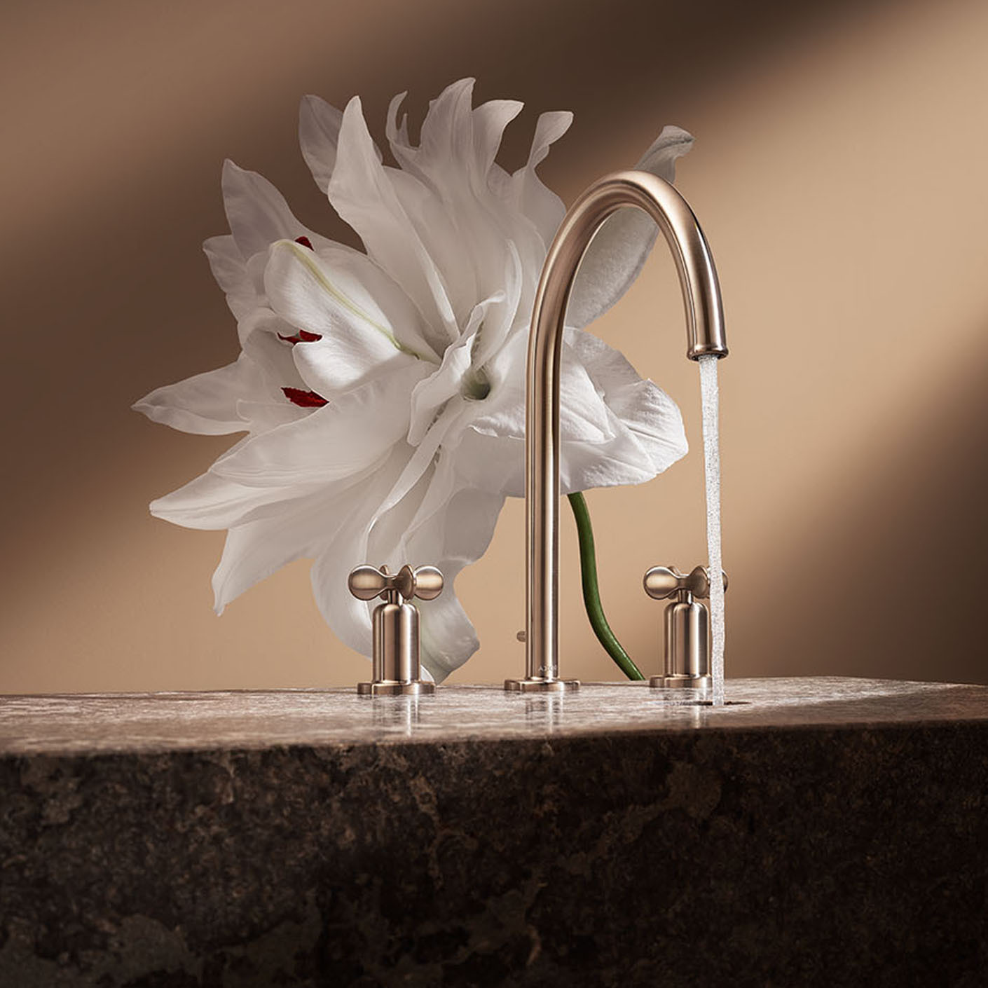 Evergreen mit System