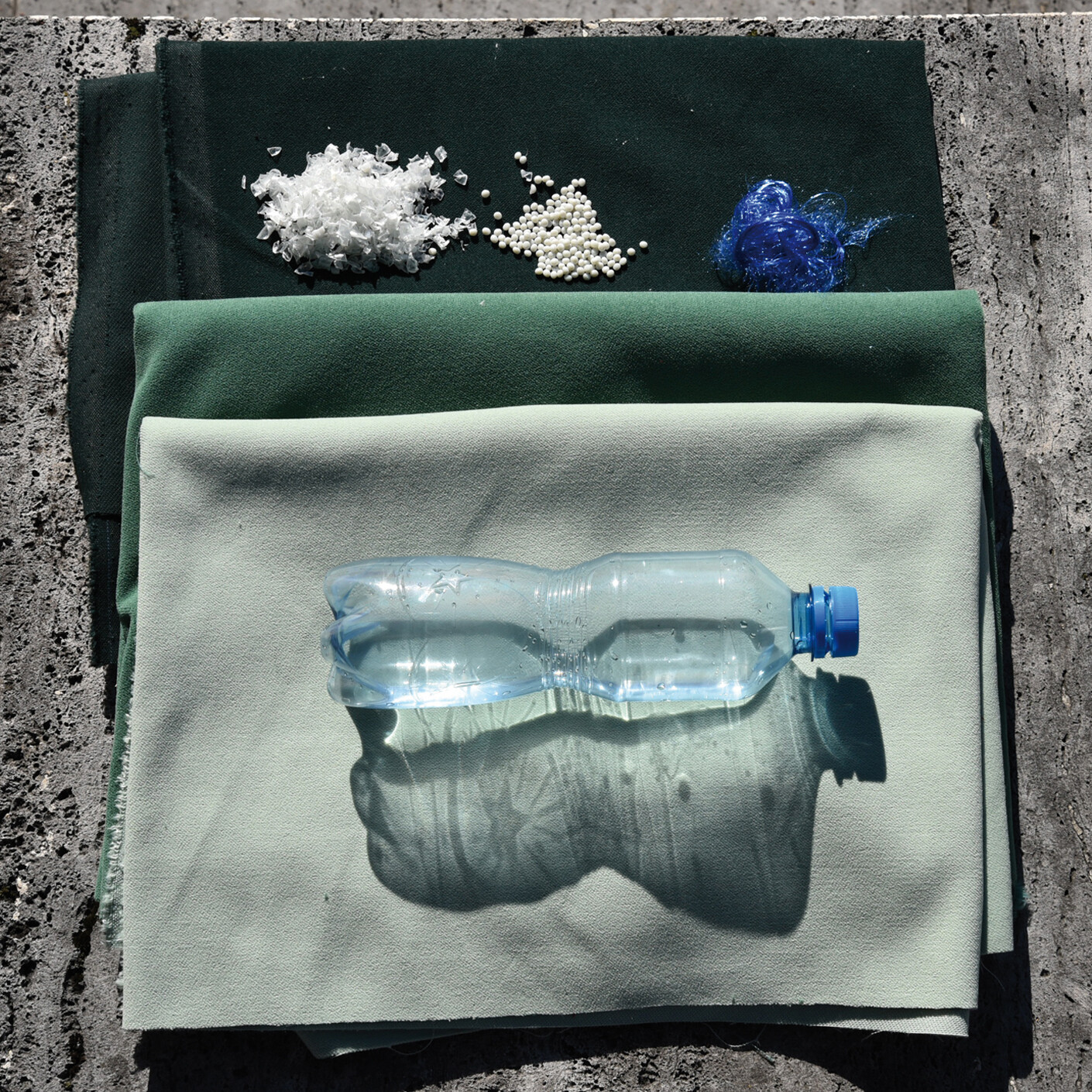 The joy of meeting again