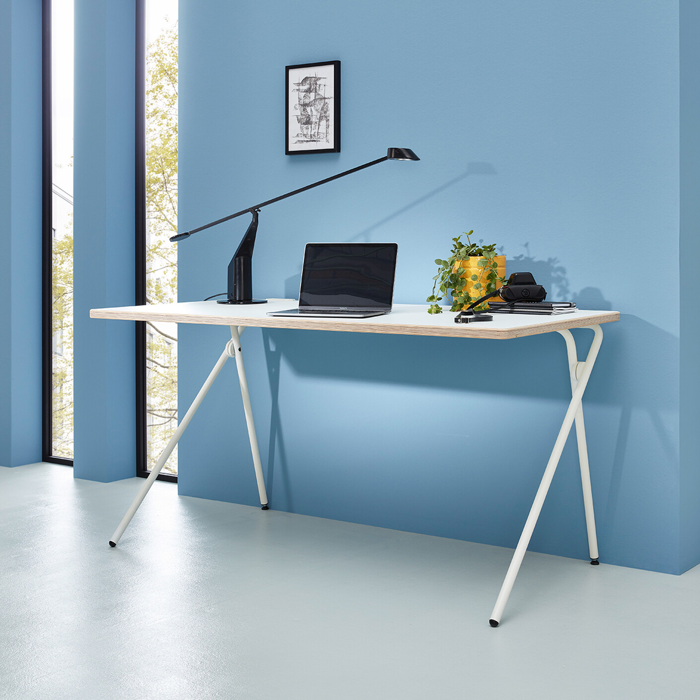 Müller small living 2021: PLATO