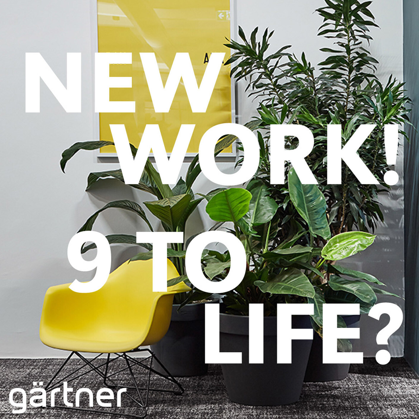 TS Q Podcast Gaertner