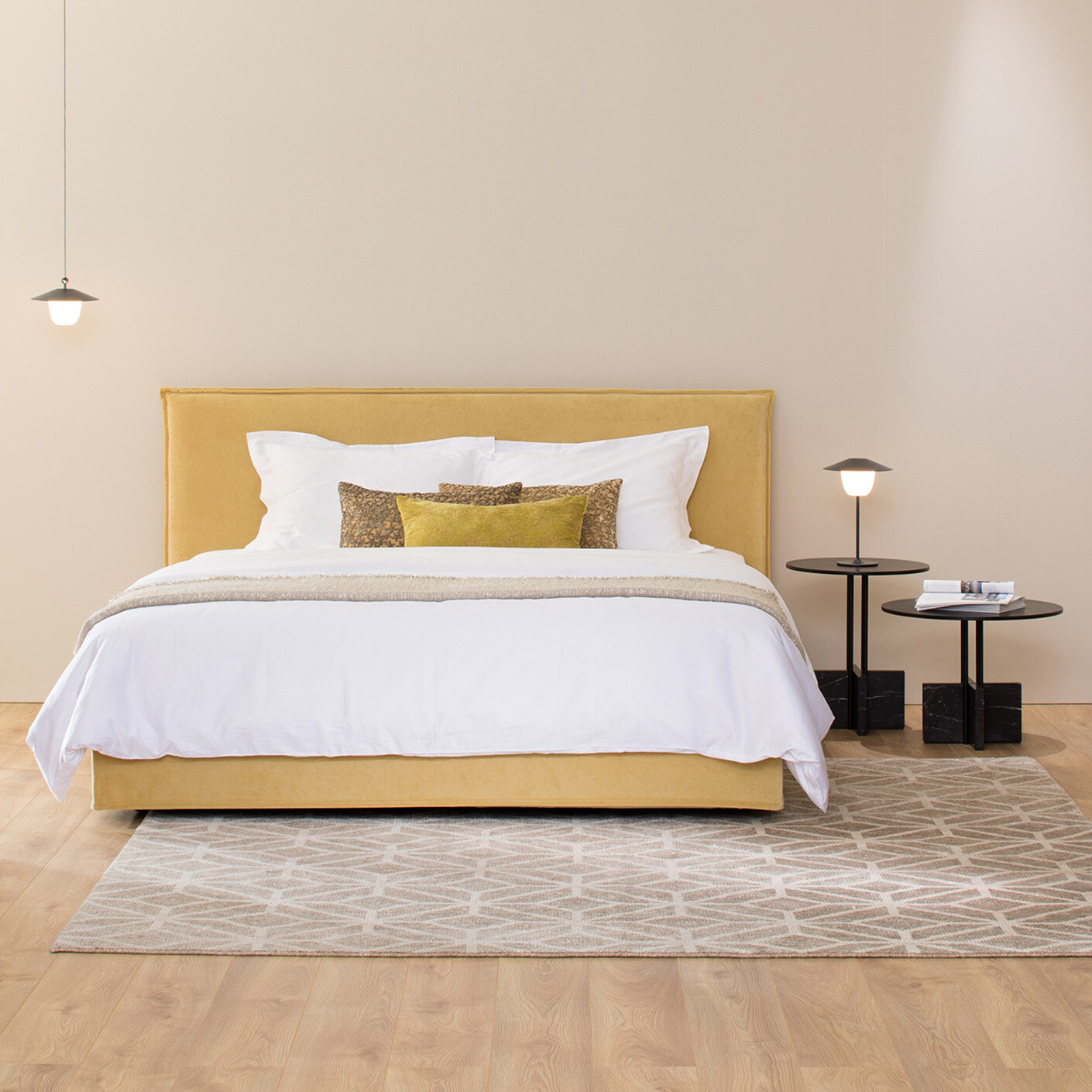 The sleep workshop