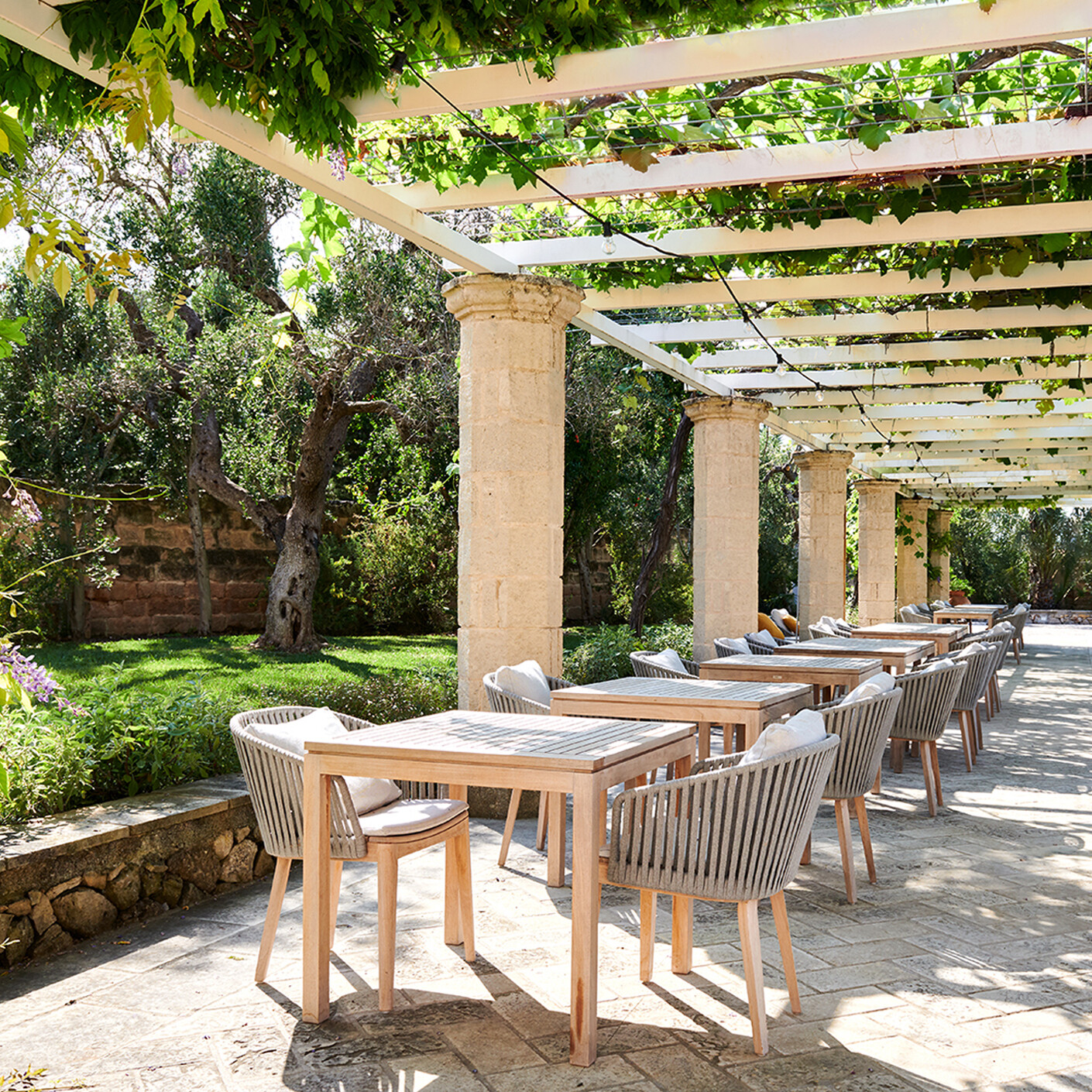 Ts Q Tribu Masseria Antonio