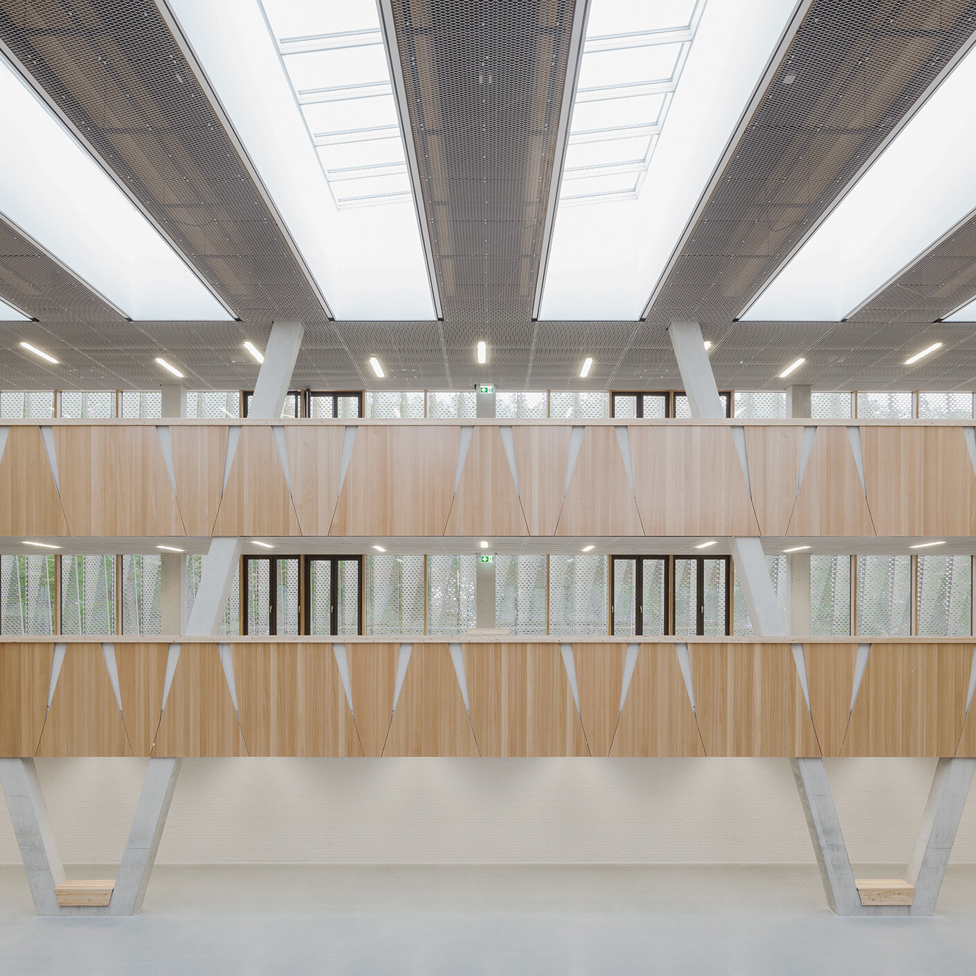 Forest light in the recess hall