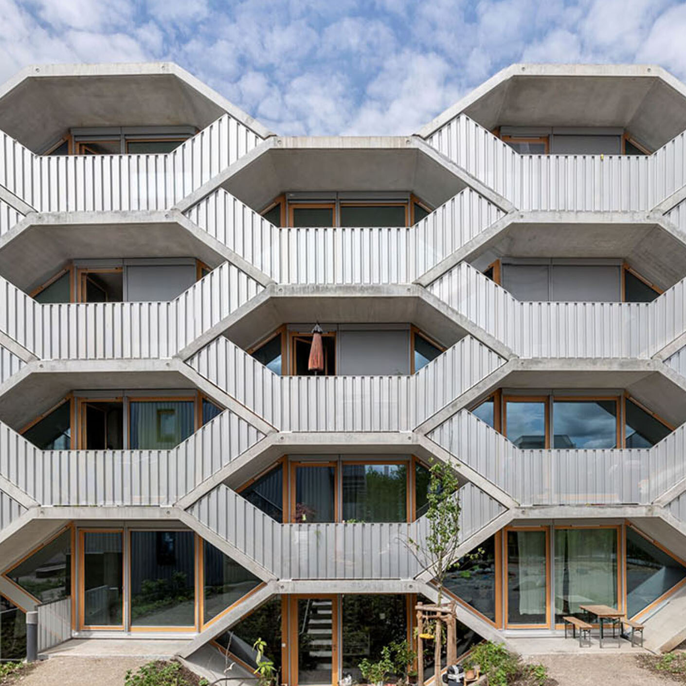 TS Q Wabenhaus